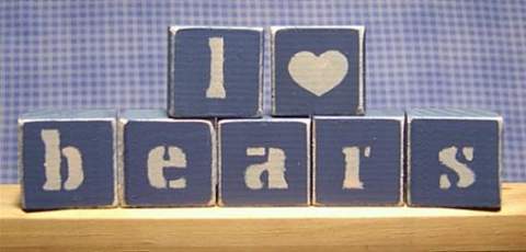 I Love Bears Blocks