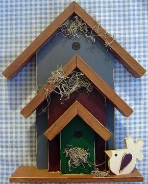 Which Nest is Best